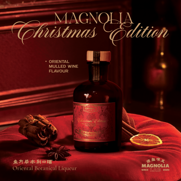 赤柱聖誕市集2025｜10周年「薑」味主題 過百攤檔掃街攻略＋免費穿梭巴士/泊車預約懶人包