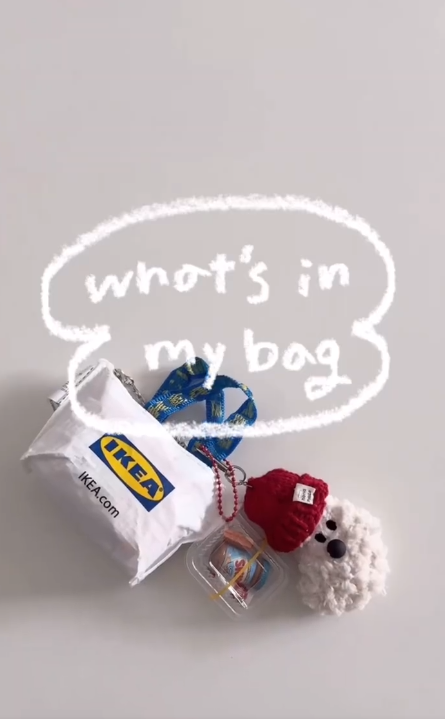 IKEA小廢包唔廢?網民實測「極限收納」一次裝到9樣嘢:原來係百寶袋