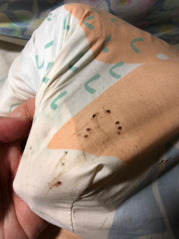 遊日訂酒店必睇！日本酒店床蝨地圖輕鬆詳盡查酒店蝨患 蝨患過來人分享4招酒店防蝨方法 