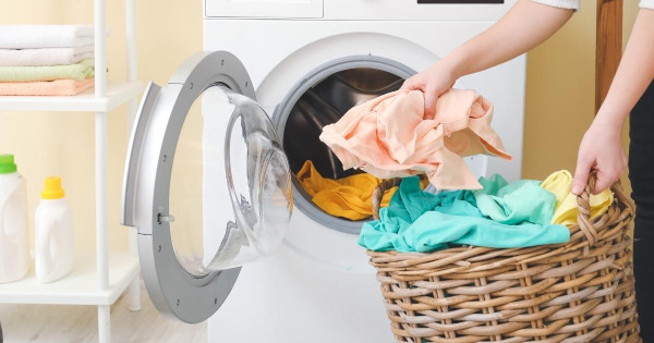 遊日訂酒店必睇！日本酒店床蝨地圖輕鬆詳盡查酒店蝨患 蝨患過來人分享4招酒店防蝨方法 