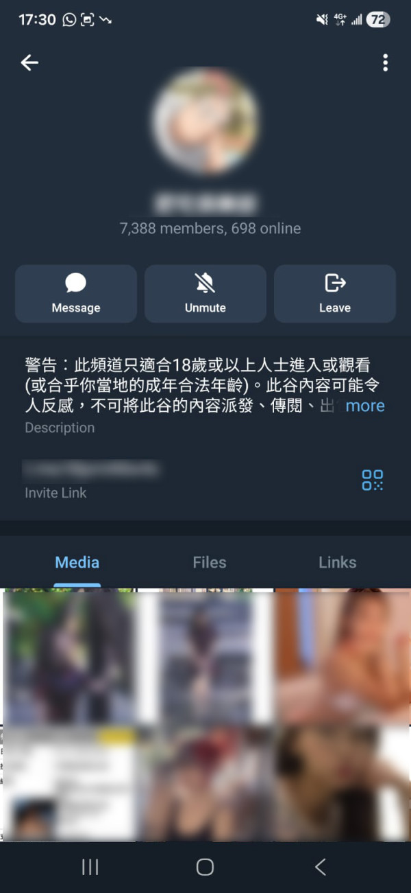Telegram 大規模封殺A片群組男網民崩潰 逾萬用戶群組一夜消失原因曝光？