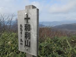 日本秋田「食人熊」半月奪4命！胃藏大量人肉 