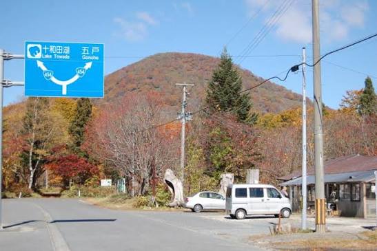 日本秋田「食人熊」半月奪4命！胃藏大量人肉 