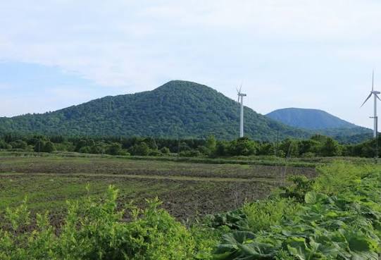 日本秋田「食人熊」半月奪4命！胃藏大量人肉 