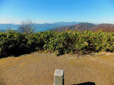 日本秋田「食人熊」半月奪4命！胃藏大量人肉 