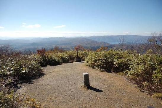 日本秋田「食人熊」半月奪4命！胃藏大量人肉 