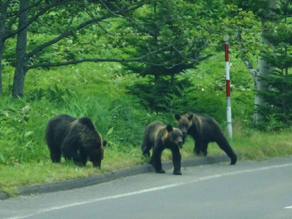 ChatGPT 懶人指令大全！30 句萬能 Key 幫你自動寫 Email / 覆老闆 / 請假信