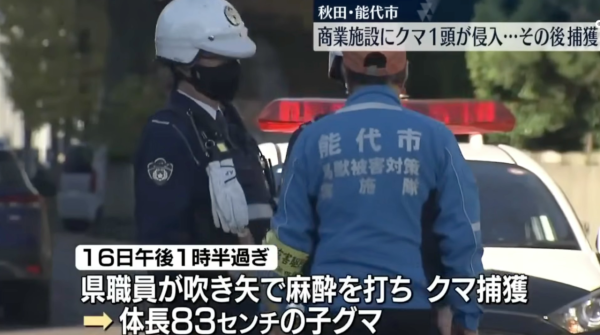 照片來源：日テレNEWS