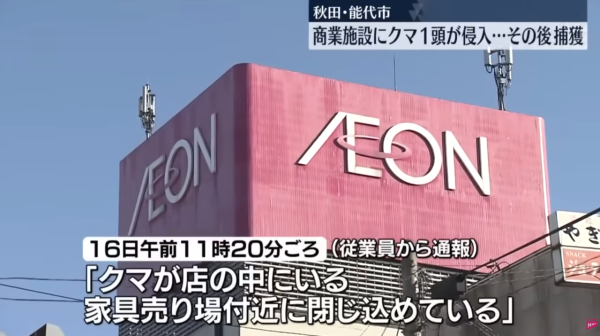 照片來源：日テレNEWS