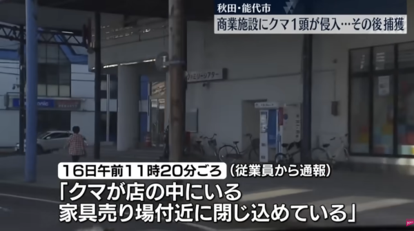 照片來源：日テレNEWS