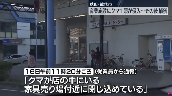 照片來源：日テレNEWS