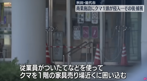 照片來源：日テレNEWS