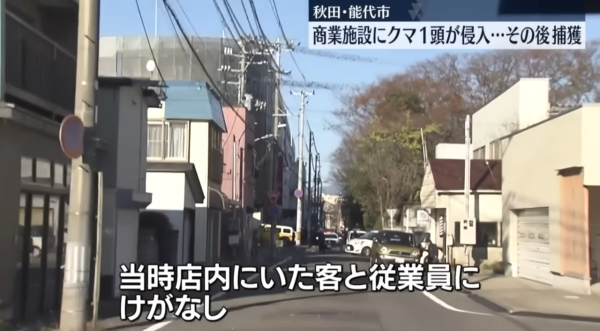 照片來源：日テレNEWS