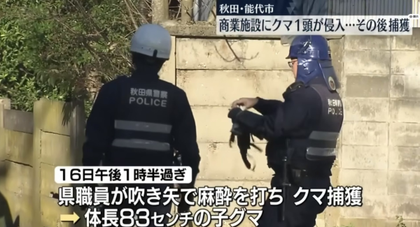 照片來源：日テレNEWS