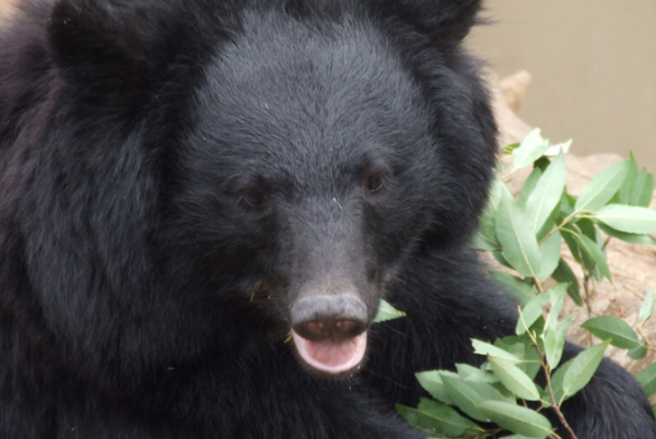 照片來源：(示意圖) 網上圖片 