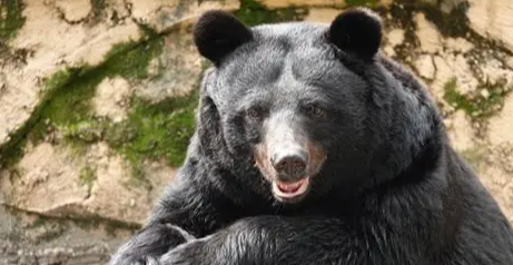 照片來源：(示意圖) 網上圖片 