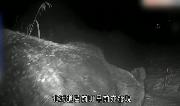 照片來源：NHK News