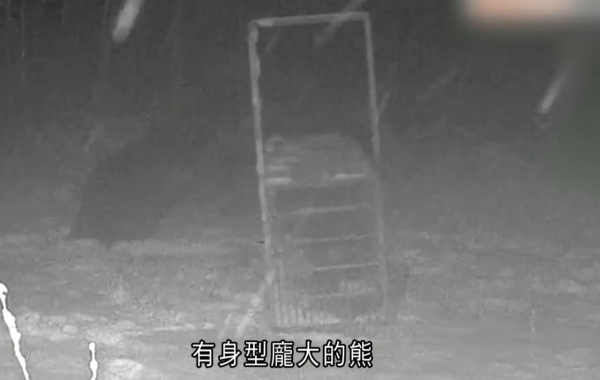 照片來源：NHK News