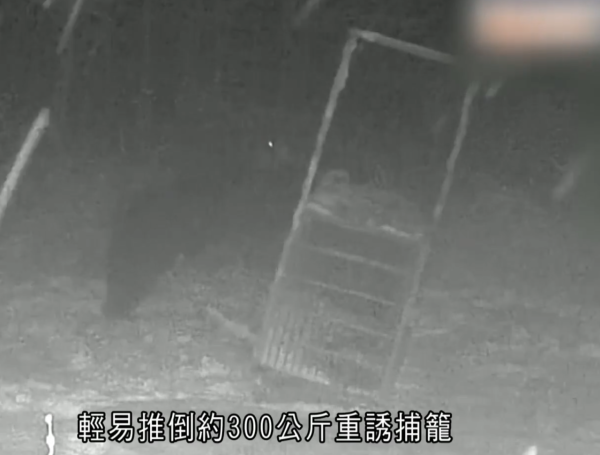 照片來源：NHK News