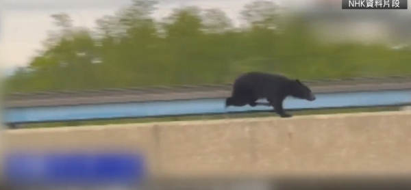 照片來源：NHK News