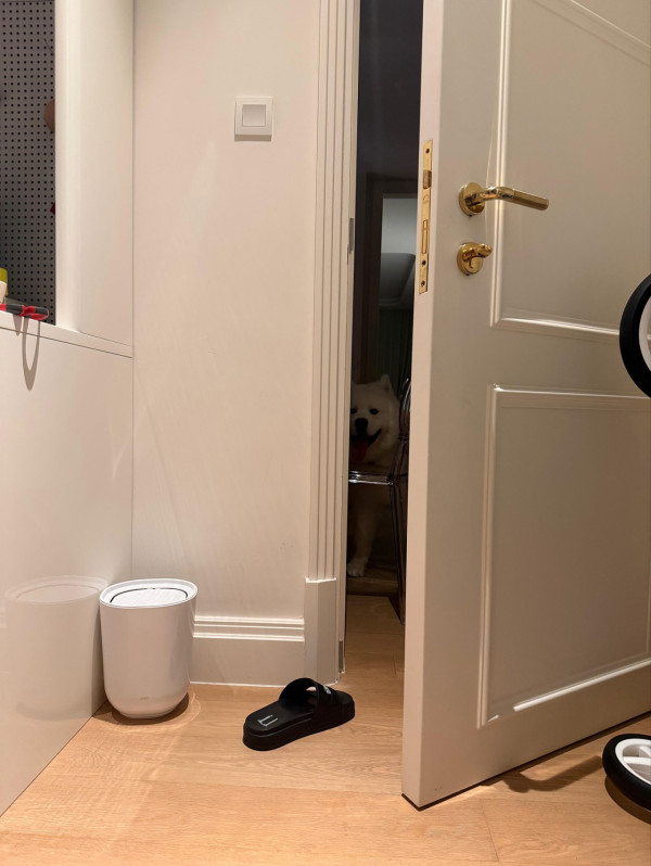 伍富橋結婚3年迎喜訊「一切都係緣份」 IG宣布家中添加新成員獲網民恭喜