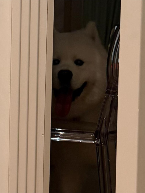 伍富橋結婚3年迎喜訊「一切都係緣份」 IG宣布家中添加新成員獲網民恭喜