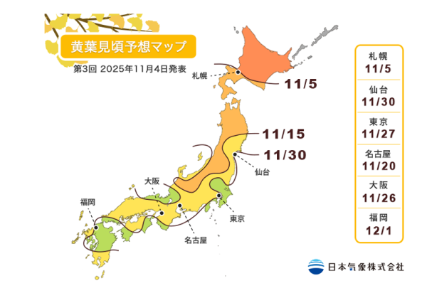 東京賞銀杏指南！2026最新銀杏時間表/見頃預測！7大必去景點、交通路線賞盡金黃秘境 