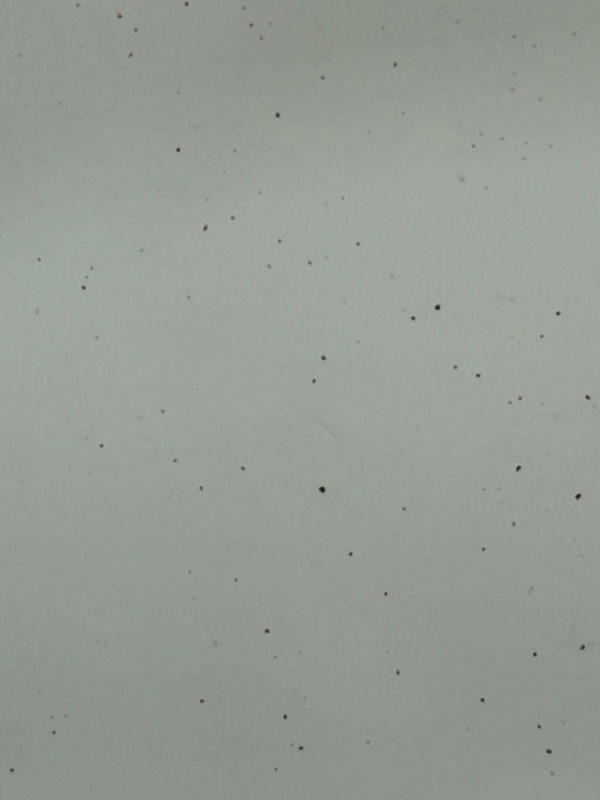 太古城食水現黑點!居民形容「好恐怖」 花灑濾芯一日變黑!附水務署回應