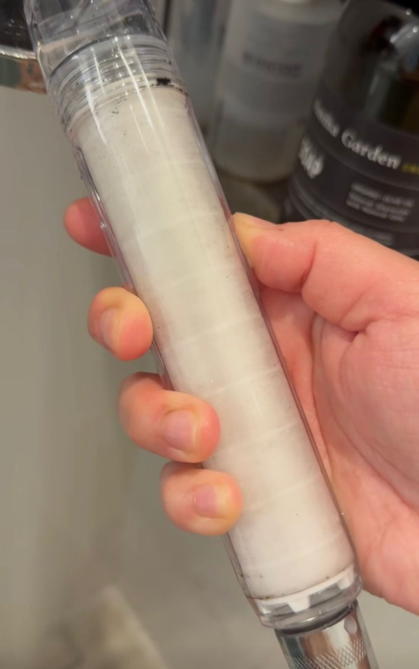 太古城食水現黑點!居民形容「好恐怖」 花灑濾芯一日變黑!附水務署回應