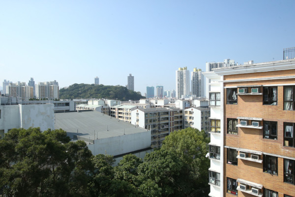 公屋首派大坑東「市區樓王」平租住豪宅區！網民：4大優勢贏私樓