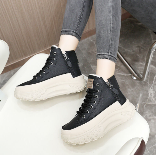 照片來源：網上圖片 