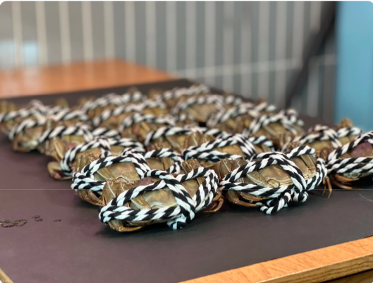 等等Hea大閘蟹放題限時62折！88分鐘任食5兩大閘蟹/蟹粉水餃/蟹粥/蟹油雞煲