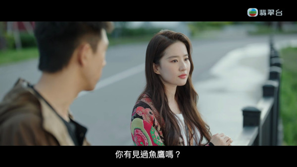 去有風的地方TVB線上看|1-23集大結局劇情劇透!細數6大看點每集預告更新