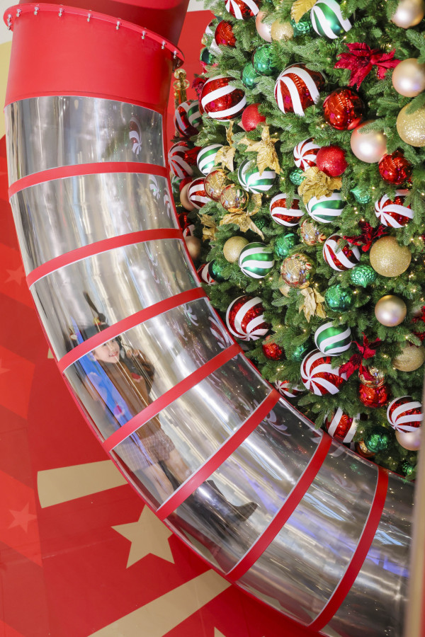 聖誕樹打卡2025｜全港10+特色聖誕樹懶人包！中環20米高巨型聖誕樹、迪士尼夢幻飄雪聖誕樹（持續更新）