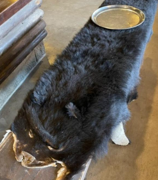 照片來源:X @aqua7974 照片來源:X @aqua7974