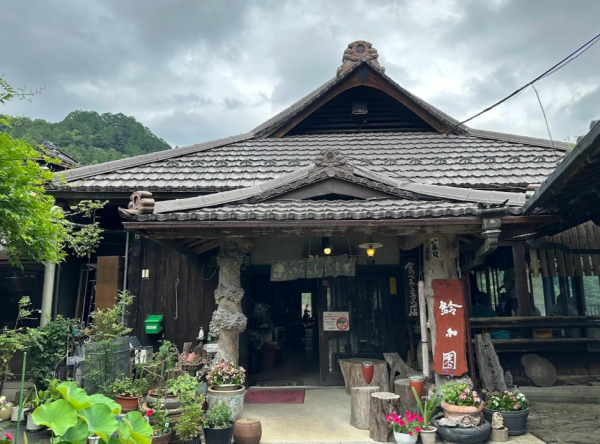 照片來源:網上圖片 照片來源:網上圖片