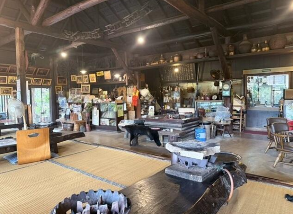 照片來源:網上圖片 照片來源:網上圖片