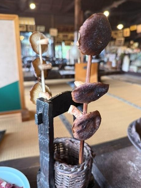 照片來源:網上圖片 照片來源:網上圖片