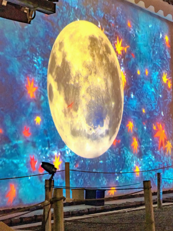 NAKED meets 二條城。圖片來源:小紅書@日本旅遊 NAKED meets 二條城。圖片來源:小紅書@日本旅遊