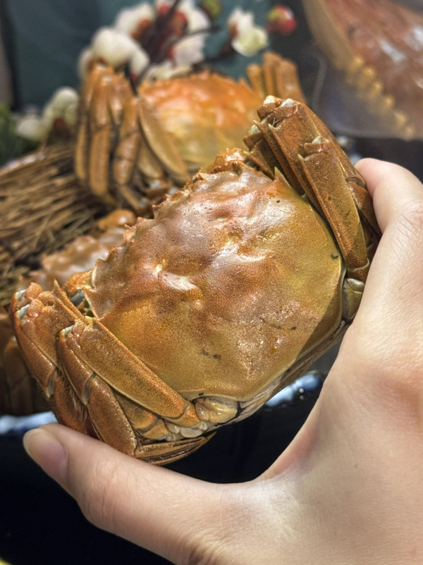 旺角無限時海鮮雞煲！各種酒類任飲/訂座即送大閘蟹
