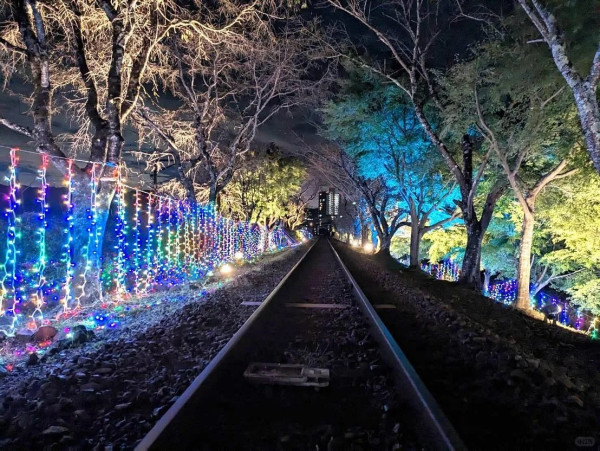 嵯峨野觀光小火車。圖片來源:小紅書@三毛子の情報局 嵯峨野觀光小火車。圖片來源:小紅書@三毛子の情報局