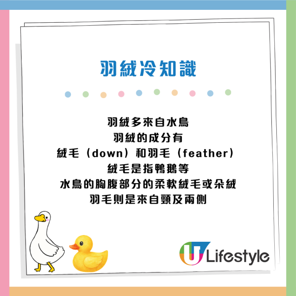 天氣轉涼|羽絨愈厚愈暖?消委會拆解保暖迷思!6大關鍵選購貼士:原來鵝絨、鴨絨差好遠