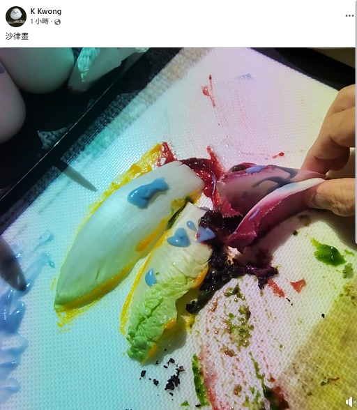 化學博士K Kwong鄺士山承認偷拍裙底！情人節犯案不排除即時監禁 今上傳「沙律畫」影片