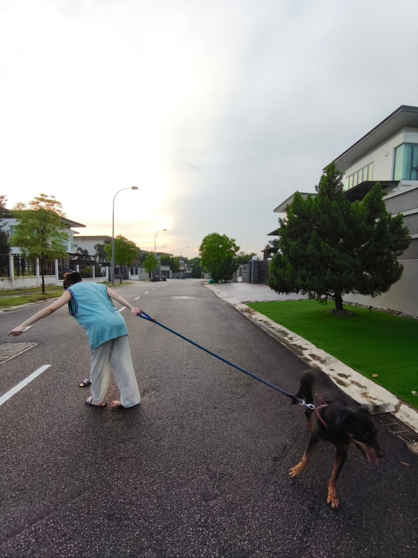 林明禎超鬆身背心疑洩34E胸前春光 彎腰瞬間畫面引網民暴動:我有冇睇錯