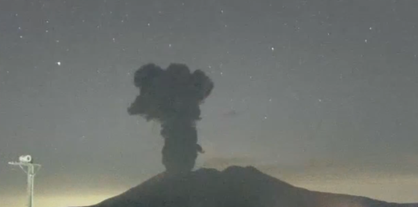 照片來源：網上圖片