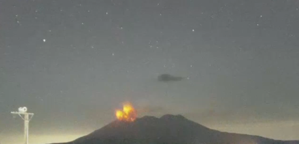 照片來源：網上圖片