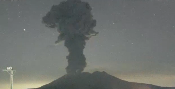 照片來源：網上圖片