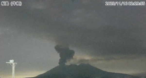 照片來源：網上圖片