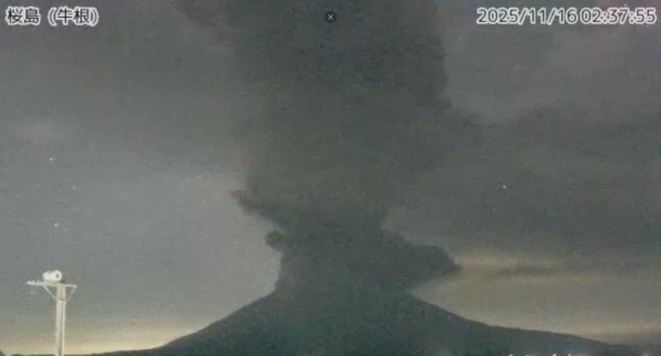 照片來源：網上圖片