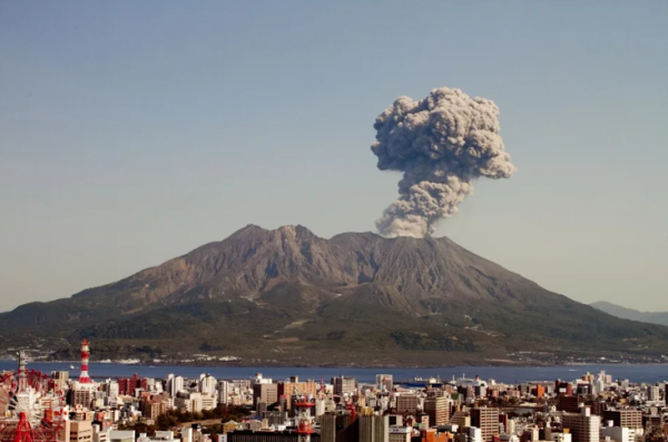 照片來源：網上圖片